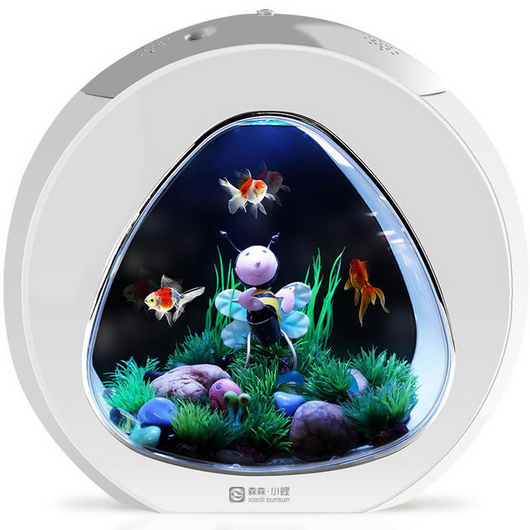 Stylish Desktop Aquarium Perfect for Any Room Decor