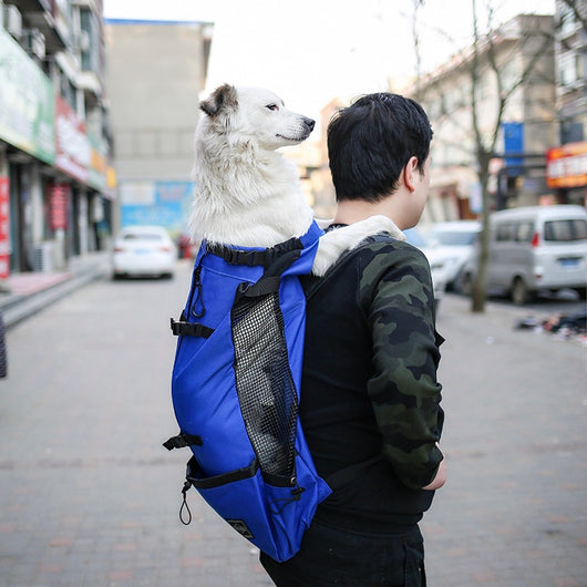 Portable Pet Dog Carrier Backpack with Double Shoulder Straps