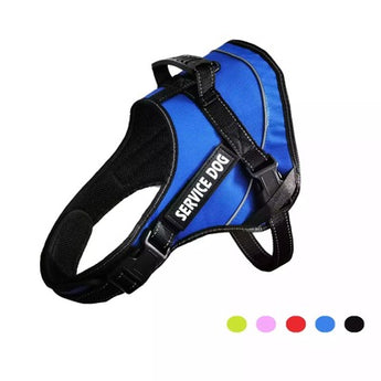 Comfy and Adjustable Dog Harness with Stainless Steel D-Ring