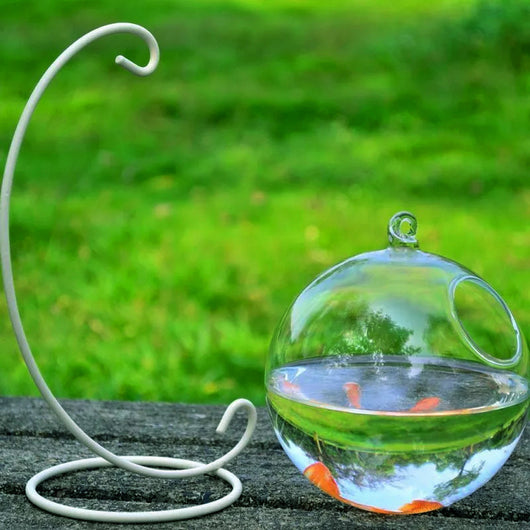 Hanging Glass Vase Fish Tank - Perfect for Small Spaces and a Stylish Addition to Your Home Decor