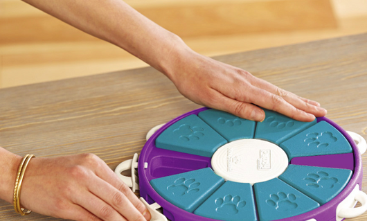 Engage Your Pup's Mind with Fun and Durable Dog Educational Toys