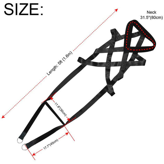 Dog Leashes and Chest Straps - Essential Training