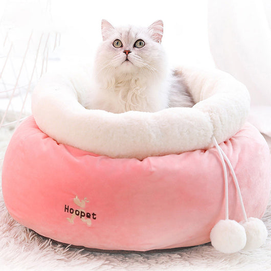Warm and Cozy Winter Cat Litter