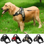 Harness for Medium and Large Dogs