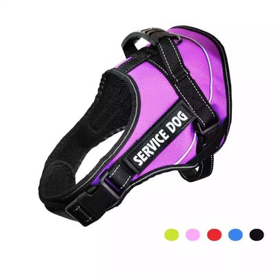 Comfy and Adjustable Dog Harness with Stainless Steel D-Ring