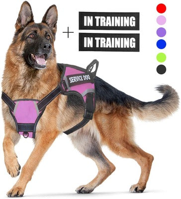 Adjustable Dog Harness | Multiple Color | with Easy-to-Wear Buckle and Stainless Steel D-Ring