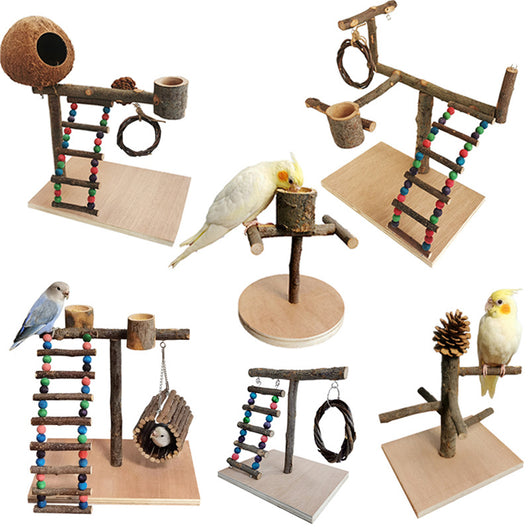 Eco-Friendly Solid Wood Parrot Station for Training and Playing