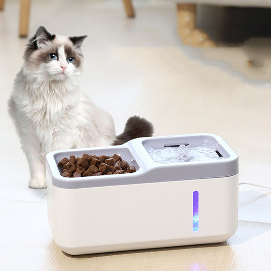 Automatic Water Dispenser for Cats - Smart and Convenient Pet Product
