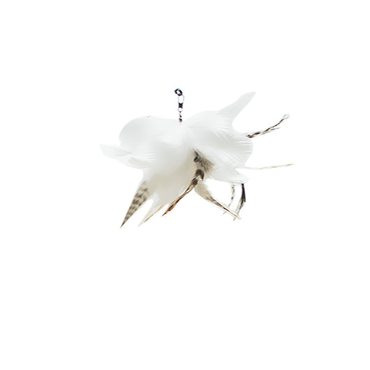 Extendable Cat Teasing Stick with Feather Replacement Head for Interactive Playtime