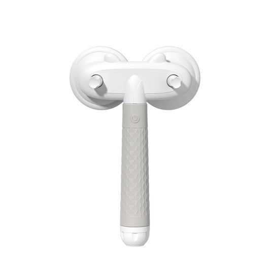 Dual-Headed Pet Hair Remover with Negative Ion Technology for Cats and Dogs
