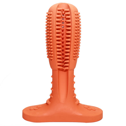 Bite-Resistant Dog Toothbrush and Molar Toy