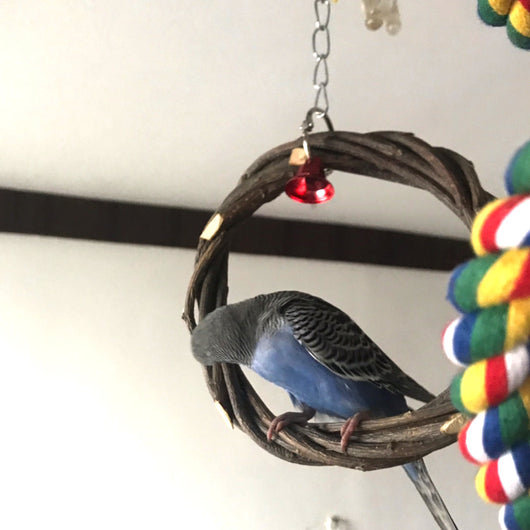 Bird Standing Frame Rattan Ring Chewing Toy for Small and Medium-Sized Birds