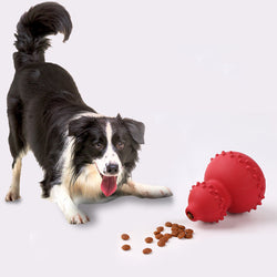 Pet Toy for Smart Playtime: Natural Rubber Ball for Biting and Teeth Grinding🦴
