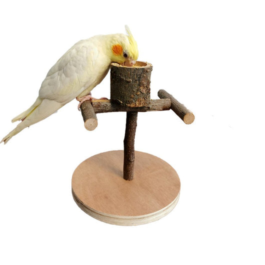 Eco-Friendly Solid Wood Parrot Station for Training and Playing
