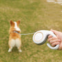 Automatic Retractable Leash for Dogs