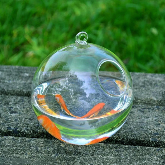 Hanging Glass Vase Fish Tank - Perfect for Small Spaces and a Stylish Addition to Your Home Decor