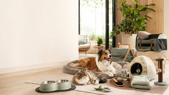 How to Choose the Best Online Pet Supplies: A Comprehensive Australian Buyer's Guide