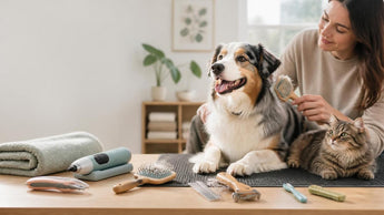 Choosing the Best Pet Grooming Supplies Online: A Comprehensive Guide for Owners