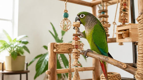 Beyond Boredom: Selecting the Perfect Bird Toys for Optimal Mental and Physical Enrichment