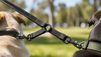 How to Choose a Double-Ended Dog Walking Leash for Safe Multi-Pet Walks