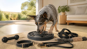 How To Choose Durable & Engaging Dog Toys: A Smart Owner's Guide (Focusing on Value)
