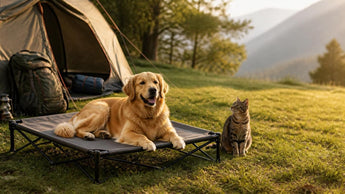 Choosing the Perfect Cheap Pet Camping Bed: A Comprehensive Buyer's Guide for Canine & Feline Comfort