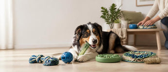 Beyond Boredom: Selecting the Perfect Dog Toys for Total Canine Well-being