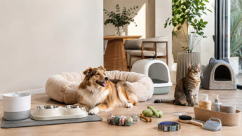 Curating Your Home: The Expert Guide to Choosing High-Quality Pet Supplies