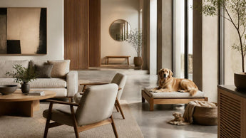 Modern Pet Furniture Online: How to Style Your Pet's Zone with High-End Decor