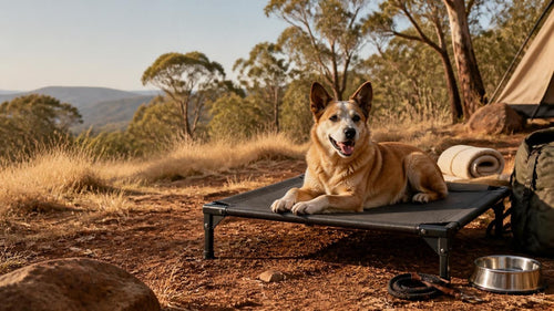 Choosing the Perfect Pet Camping Bed: A Complete Owner’s Guide for Safe & Cozy Outback Adventures