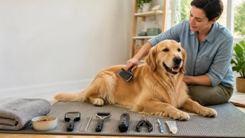 Mastering At-Home Pet Grooming: A Comprehensive Guide to Choosing Supplies and Techniques