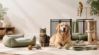 The Ultimate Guide to Buying Premium Pet Supplies Online: Making Expert Choices for Your Pet's Health