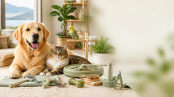 Expert Guide: Mastering Pet Wellness Care with Specialized Supplies