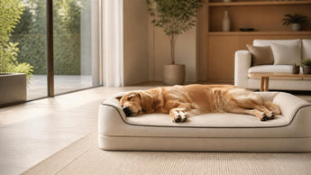 The Ultimate Guide to Luxury Pet Beds: Optimal Comfort and Health for Your Companion