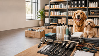 Wholesale Pet Grooming Supplies: An Essential Professional Sourcing Guide