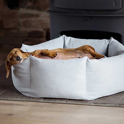Choosing the Perfect Dog Bed: A Comprehensive Guide for Ultimate Comfort