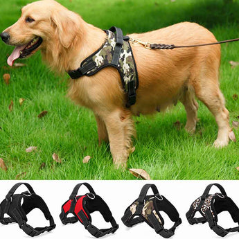 How to Choose the Right Dog Harness for Your Pup in the USA