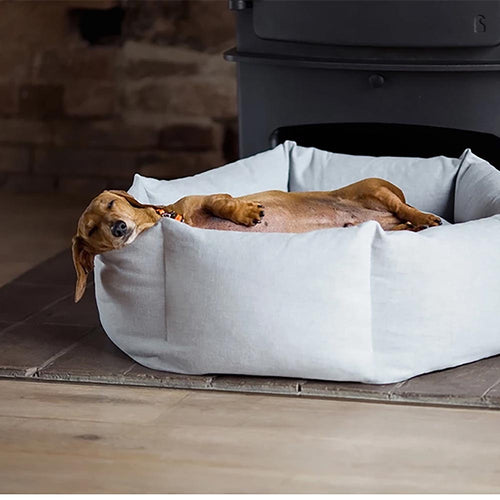 Durable Pet Houses Online: A Haven for Your Furry Friends