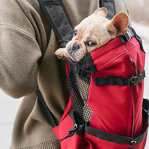 How to Choose the Right Dog Carrier: A Guide for Pet Travelers