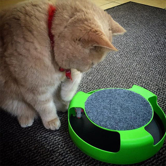 Interactive Mouse Cat Toy with Scratch Board for Kittens and Cats