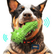 Chatterbox Dog Toothbrush Toy: Engage Your Dog in Dental Care