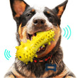 Chatterbox Dog Toothbrush Toy: Engage Your Dog in Dental Care