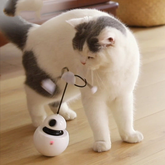 Electric Funny Cat Toy: Interactive Playtime for Cats