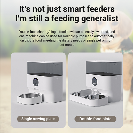 New Automatic Pet Feeder: Timed Cat and Dog Food Dispenser for Self-Feeding Convenience