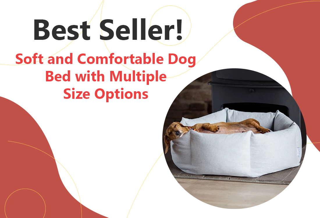 Bagaton Shop Pet Supplies and Accessories Online | Bagaton