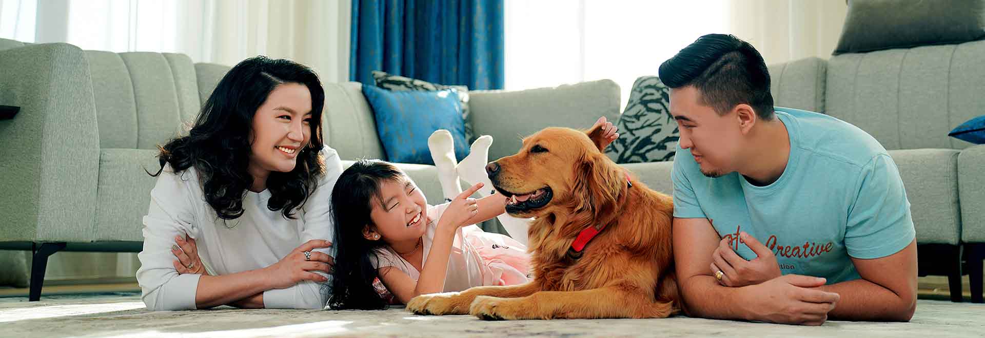 Bagaton Shop Pet Supplies and Accessories Online | Bagaton