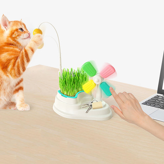Desktop Grass Box Pet Toy with Windmill and Funny Cat Stick