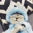 Cute and Funny Pet Cat Clothes for Kittens