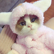 Cute and Funny Pet Cat Clothes for Kittens