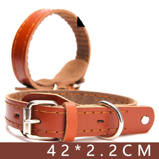 High Quality Leather Collar for Dogs
